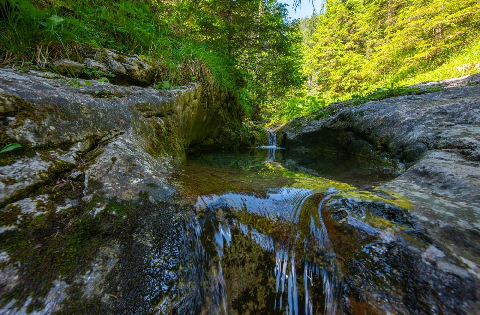 Wellness Hotel Repiska Деменівська Долина Екстер'єр фото