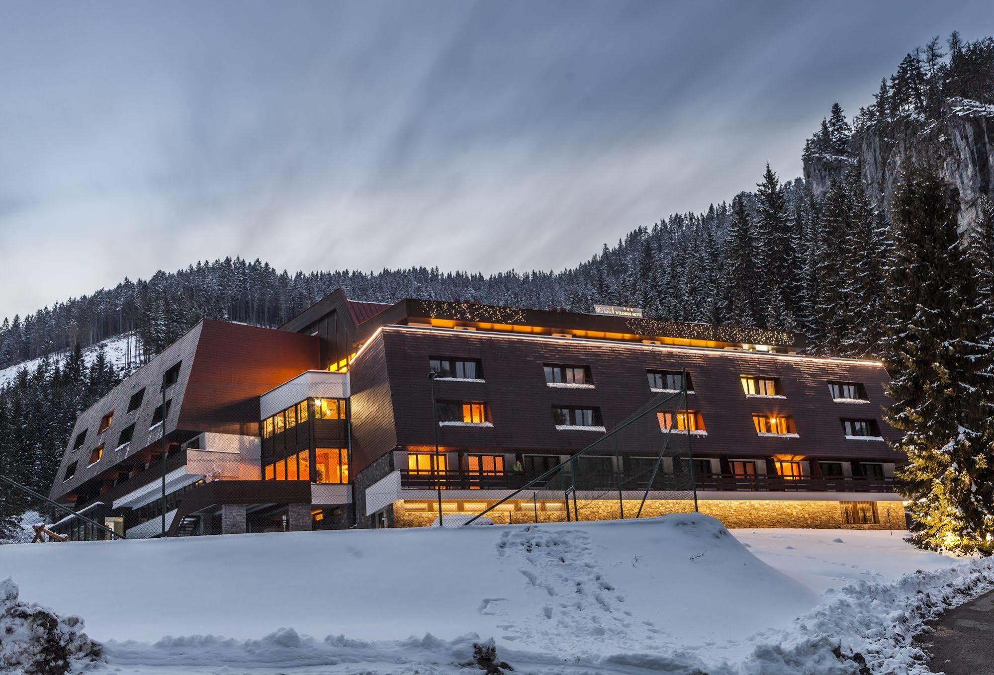Wellness Hotel Repiska Деменівська Долина Екстер'єр фото