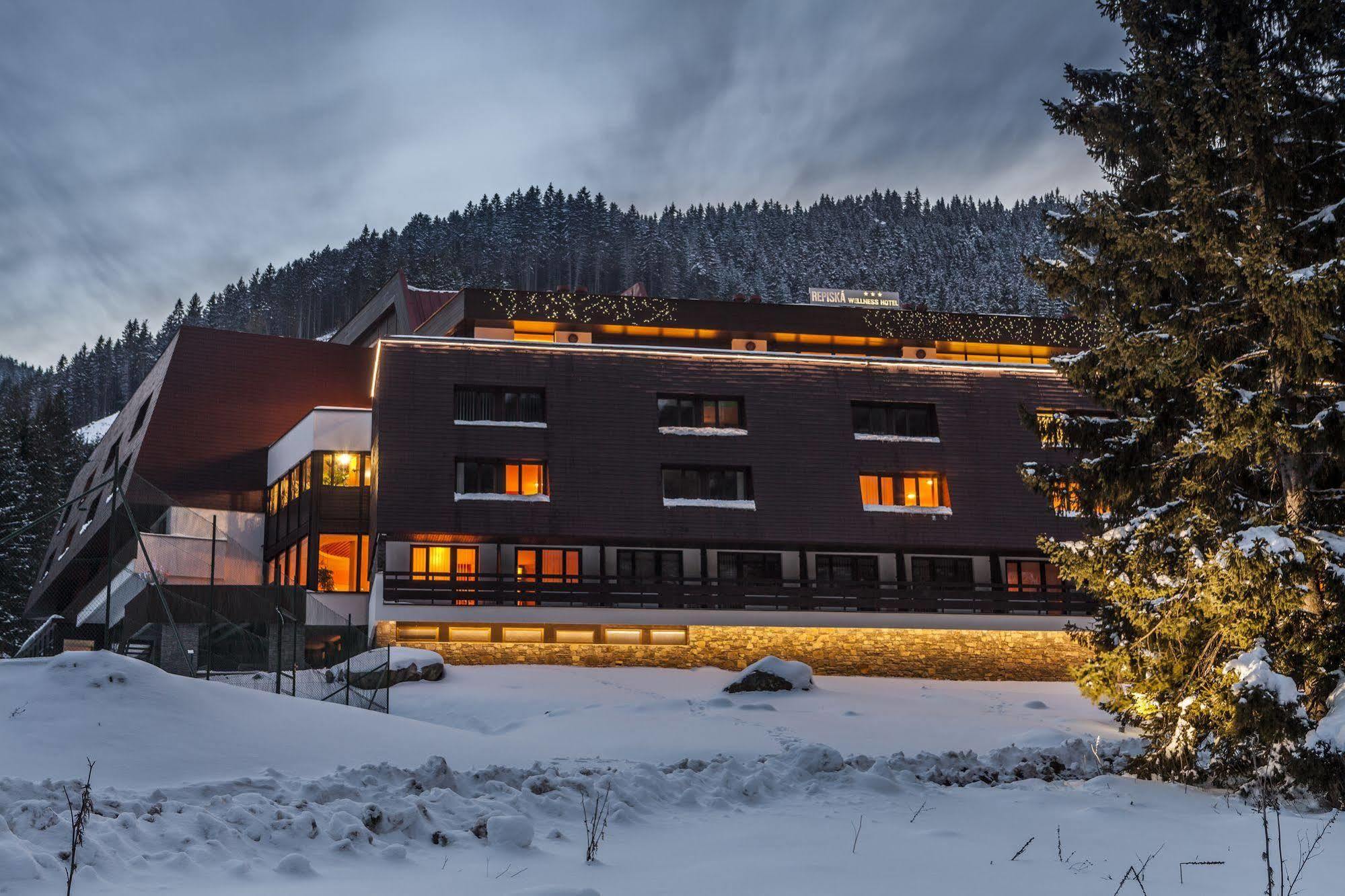 Wellness Hotel Repiska Деменівська Долина Екстер'єр фото