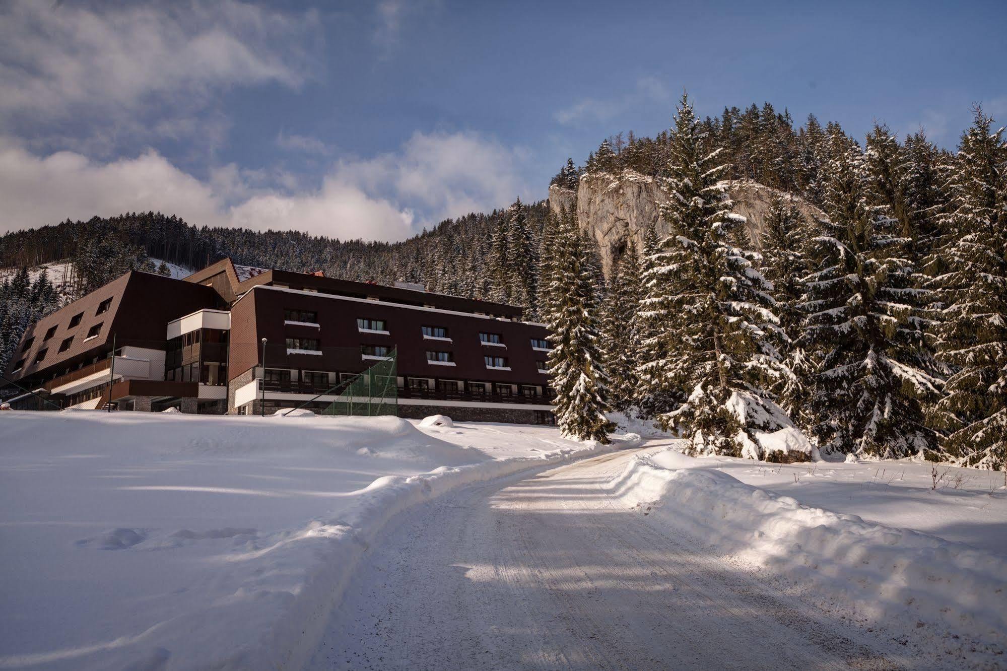 Wellness Hotel Repiska Деменівська Долина Екстер'єр фото