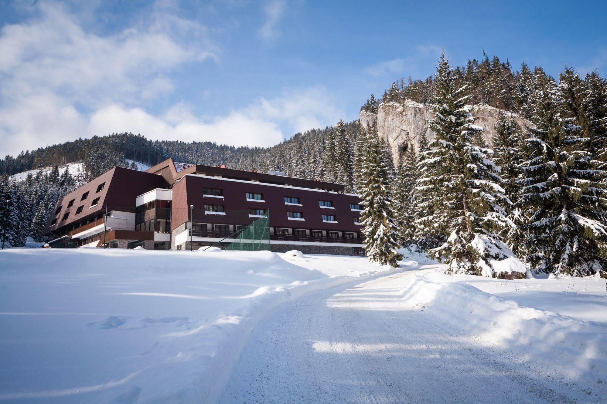 Wellness Hotel Repiska Деменівська Долина Екстер'єр фото