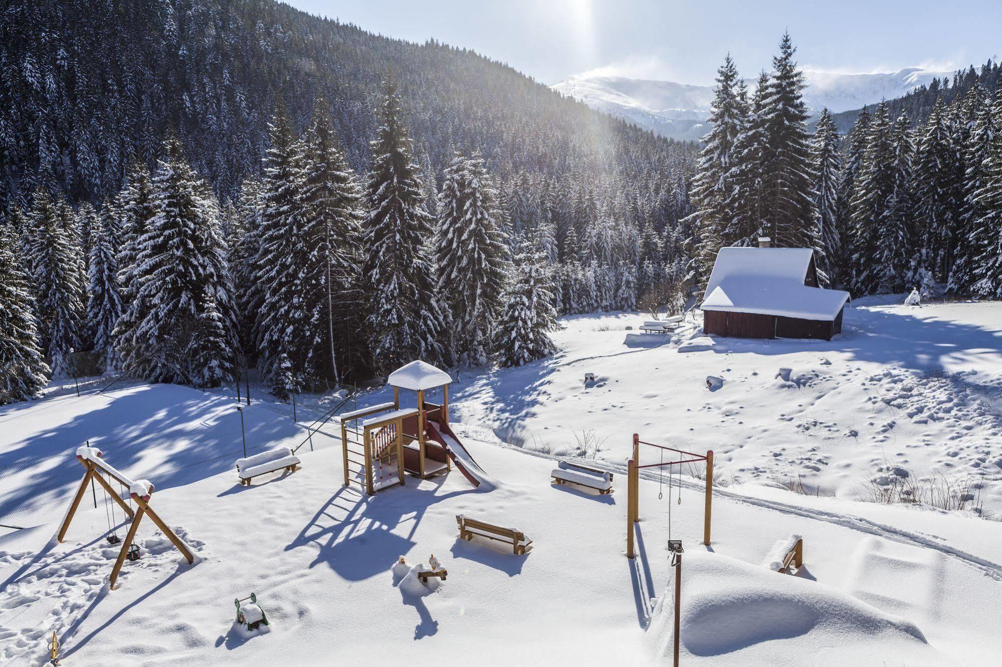 Wellness Hotel Repiska Деменівська Долина Екстер'єр фото